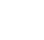 CFNS Badge
