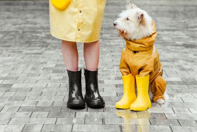 Maximizing Impact: Using Matching Gifts to Grow Your Endowment