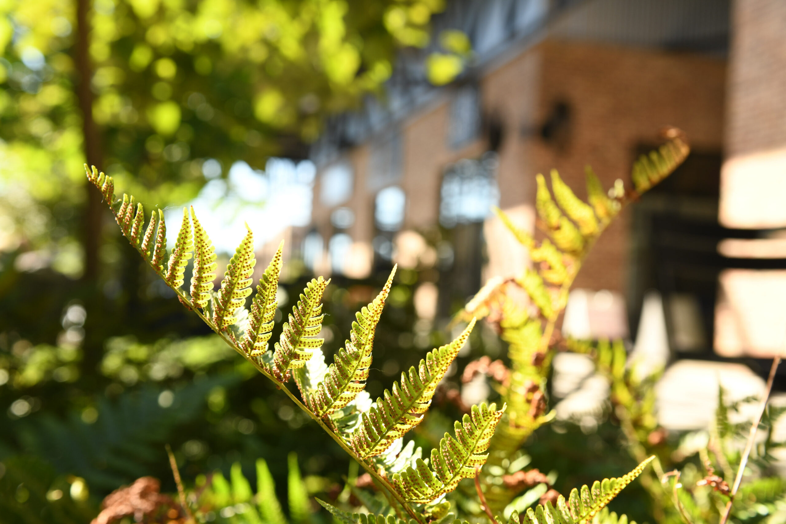 A Fresh Look at Charitable Gifts of Real Estate