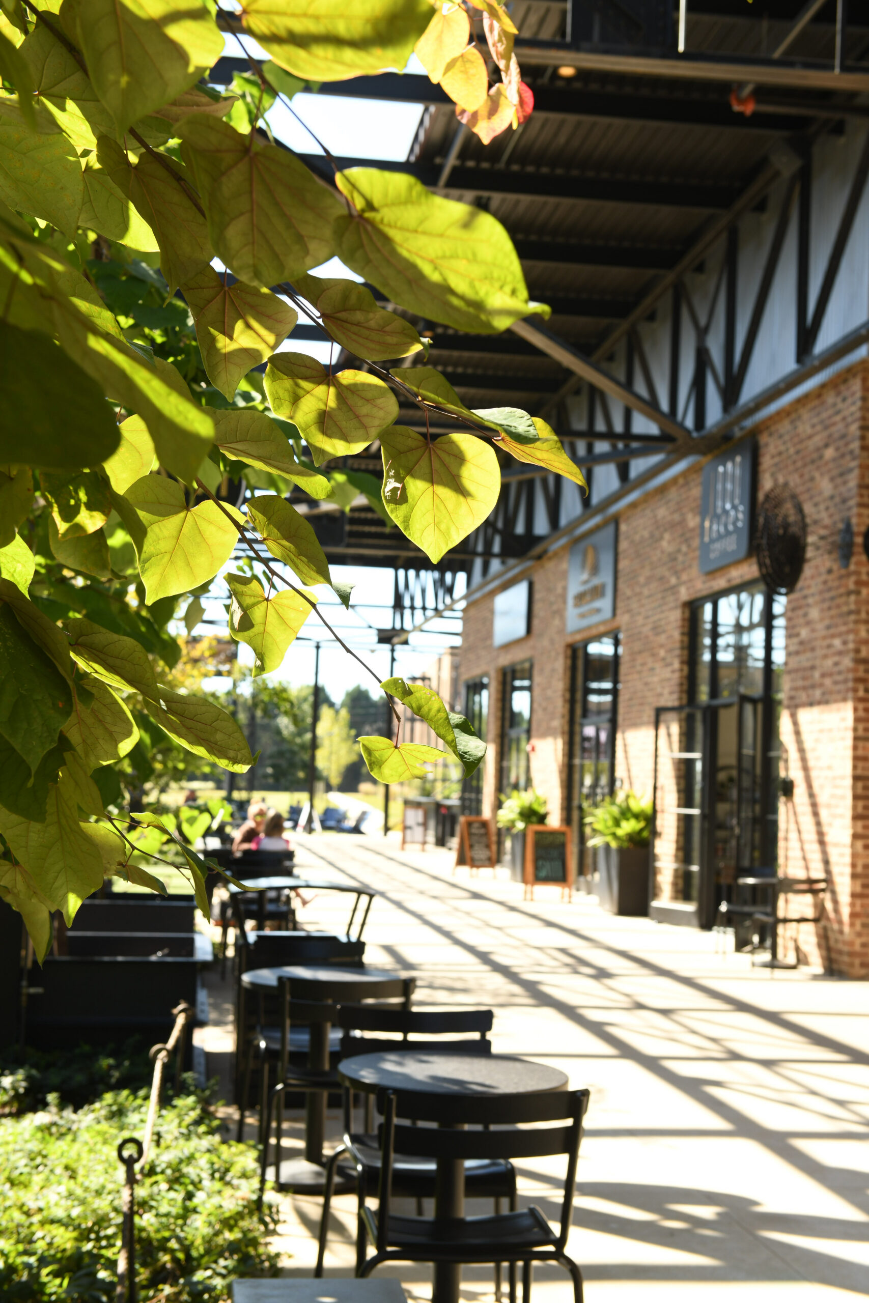 Endowments and Trust: More Connected Than You Think