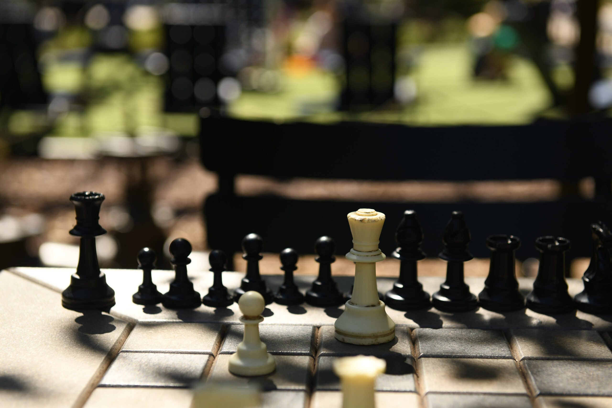 A Case Study in Charitable Planning During Market Volatility